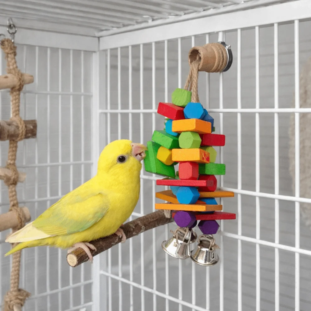 

Multi Colored Parrot Chew Hanging Bite Resistant Rainbow Bite String with Bells Blocks Parrot Standing Branches Play