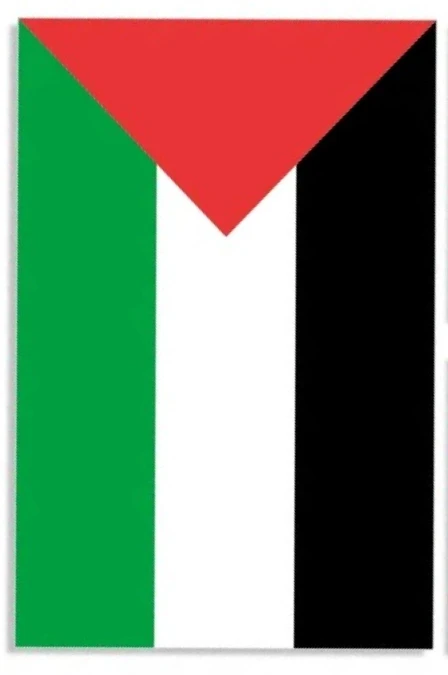 

Креативная наклейка на автомобиль, флаг Палестины и алкоголя для автомобиля, мотоциклетный гоночный шлем, ноутбук, багажник, кузов, окно автомобиля, виниловые наклейки из ПВХ