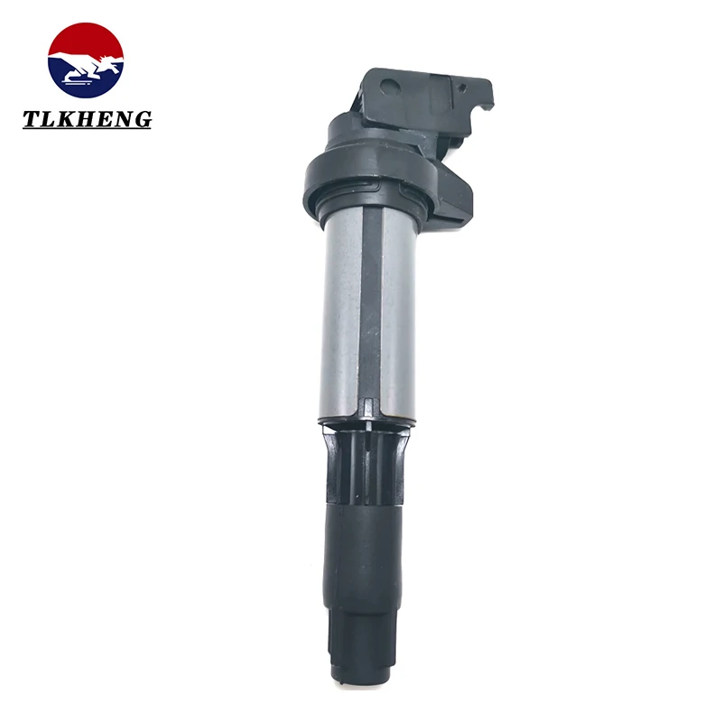 

12137551260, система катушек зажигания для BMW E81 E90 E46 E39 E60 E66 E83 E53 1.3.5.7 серии X3 X5,12131712223