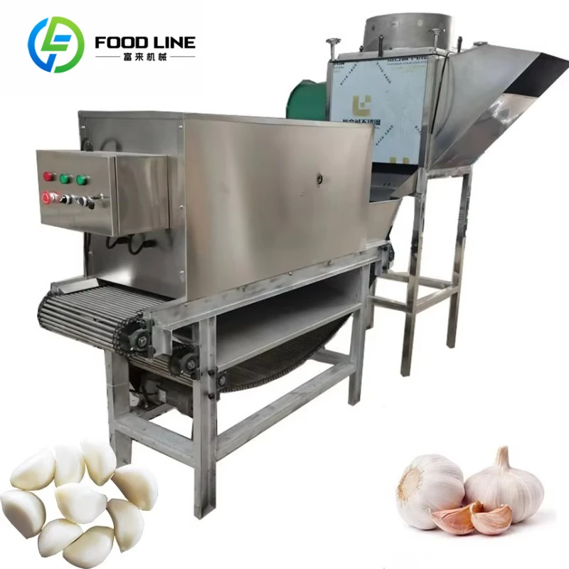 New Upgraded SUS304 Chain Garlic Peeler 2T H High Capacity Commercial Garlic Processing Equipment