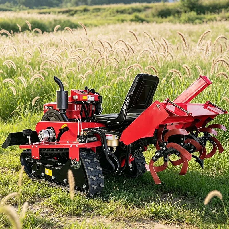 Customized Premium …