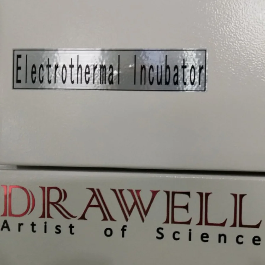 Small And Large Capacity Desktop Lab Drying Machine Thermostat Heating Incubator