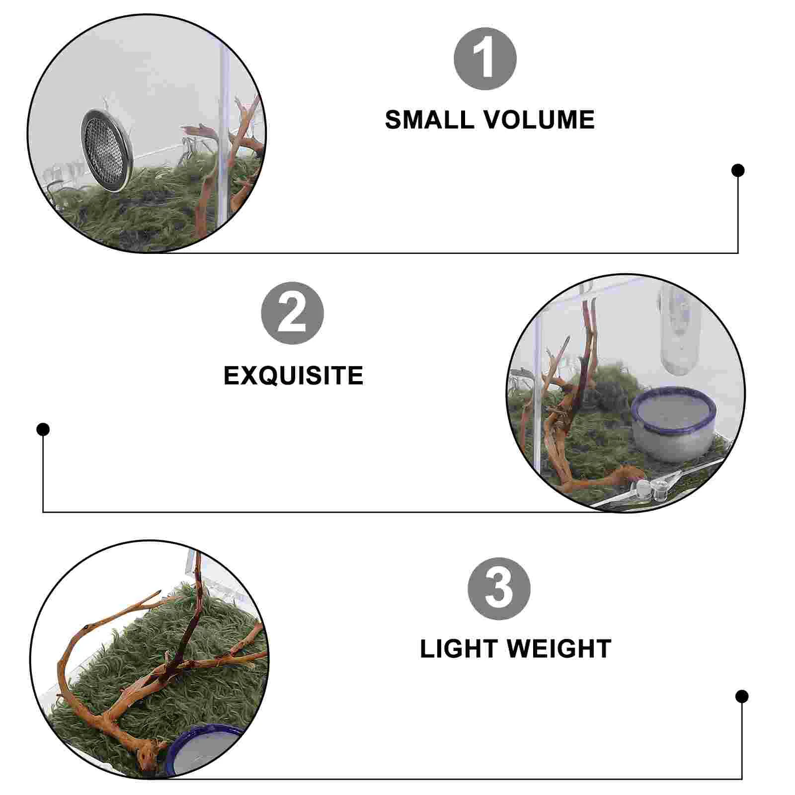 Aranha Acrílica Terrário com Terrário, Recipientes De Vidro Villcase, Reptile Breeding Box, Jumping Spider Enclosure, Pinças conta-gotas, 2 Set