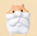 orange white