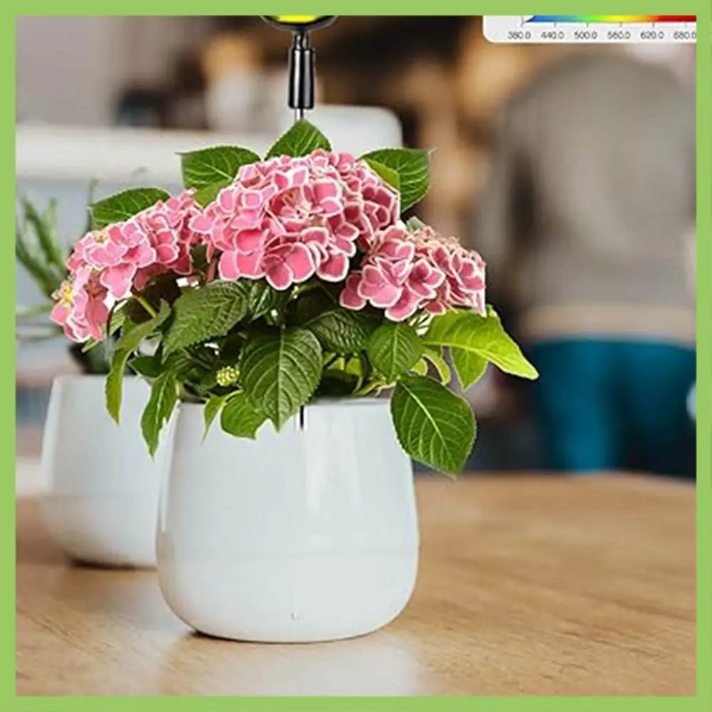 

Plant Lamp Seedling Lights For Indoor Plants For Seedlings Succulents Bulbs Full Spectrum Gooseneck Small Plants Growing