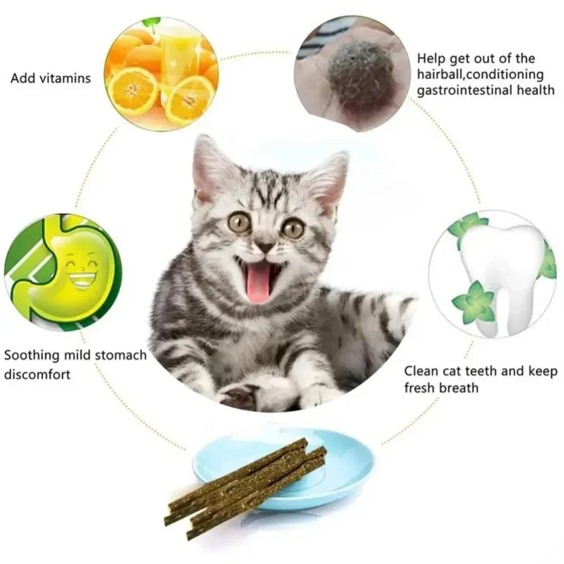 Natürliche Katze Minze Sticks Haustier Backenzahn Sticks Kätzchen Reinigung Zähne Katzenminze Kauen Spielzeug Biss beständige Spielzeug Haustier Produkt