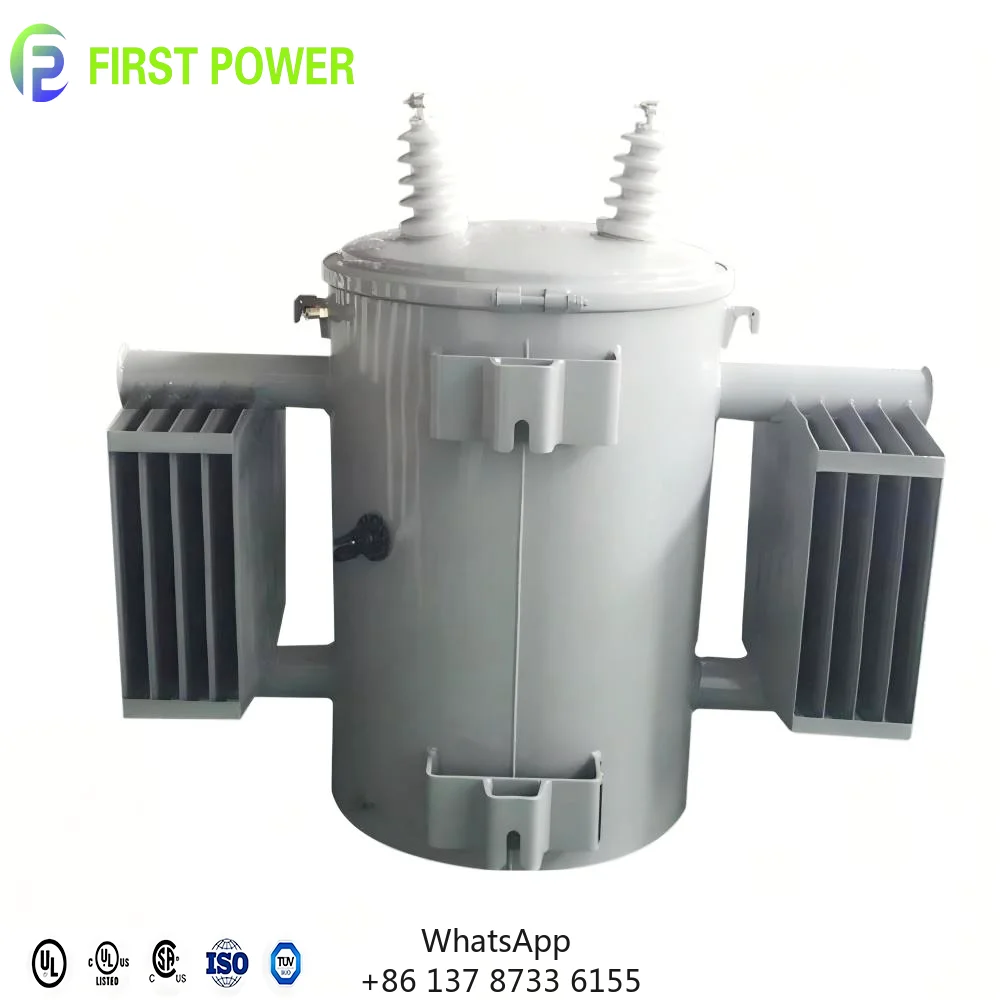 ANSI Standard 50/60HZ 6KV 10KV 20KV 35KV Oil Type Pole Mounted Transformer Single Phase For Electric Power Distribution