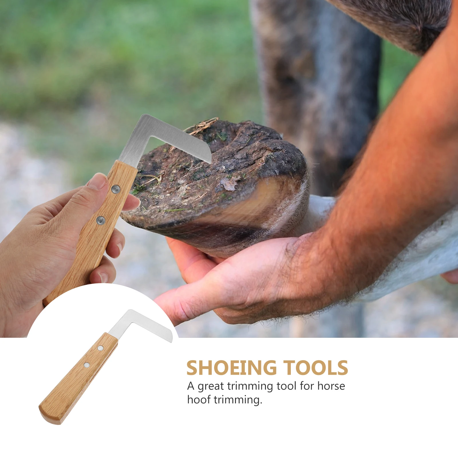 

Hoof Trimmer Lightweight Brush Goat Shear Cow Tool Cattle Wooden Animal