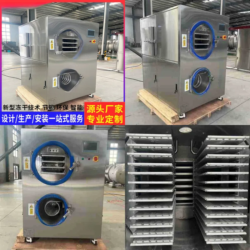 Small FD Low Temperature Drying Equipment Manufacturer Direct Supply Experimental Vacuum Freeze Dryer