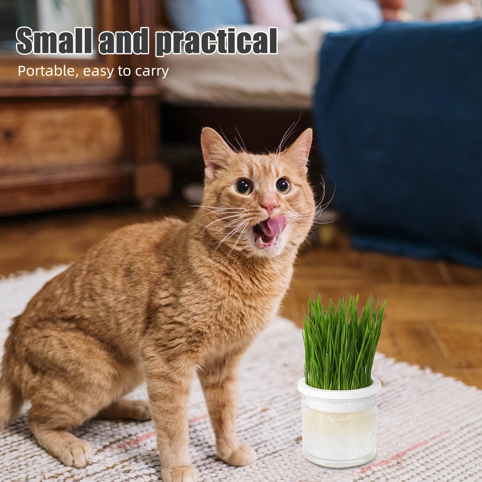 

Cat Grass Planting Box Hydroponic Planter Holder Seed Growth Tray Pp Growing Kit Hydroponics