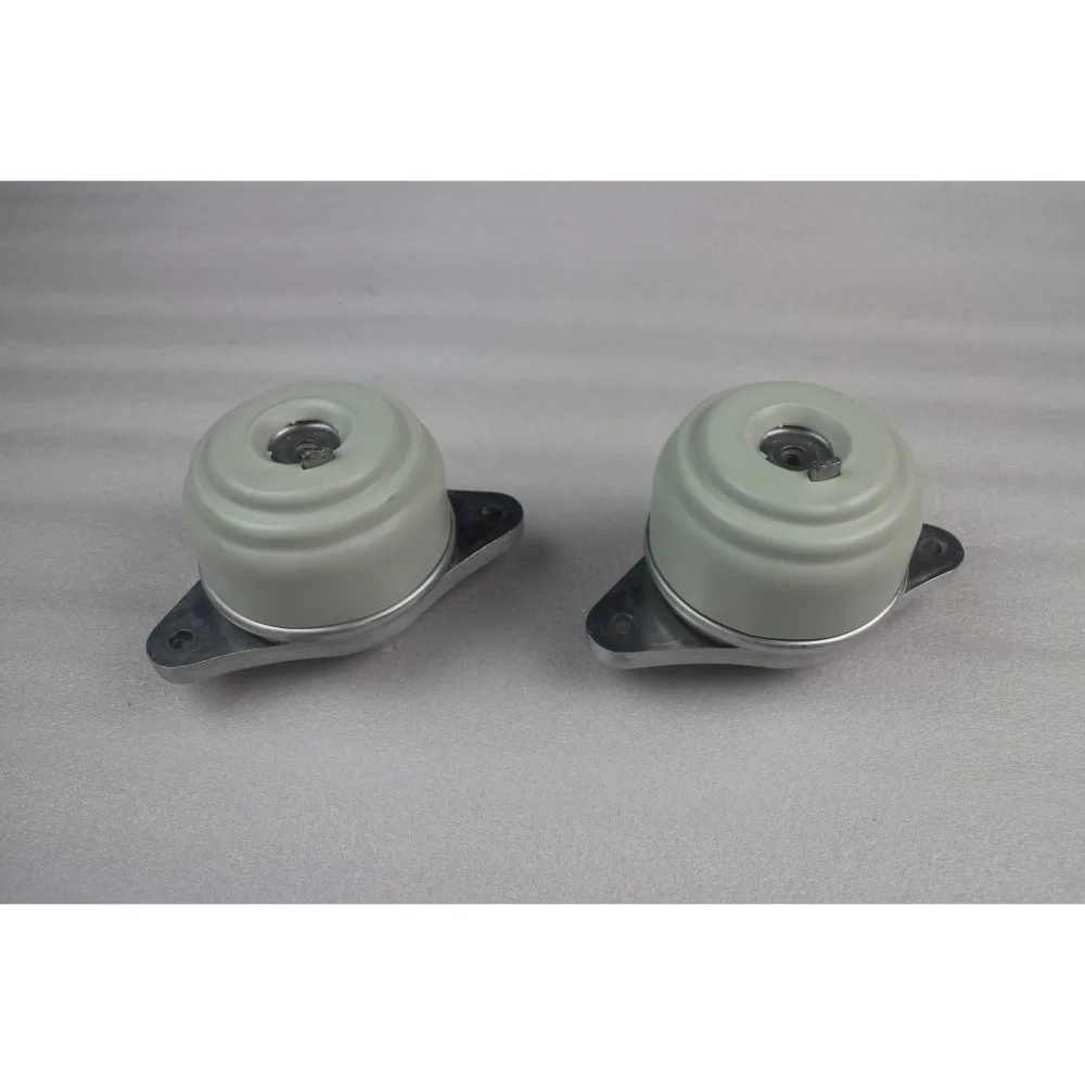 2PCS Front L&R Engine Mount SET Fit for Mercedes Benz C300 C350 4Matic 2008-