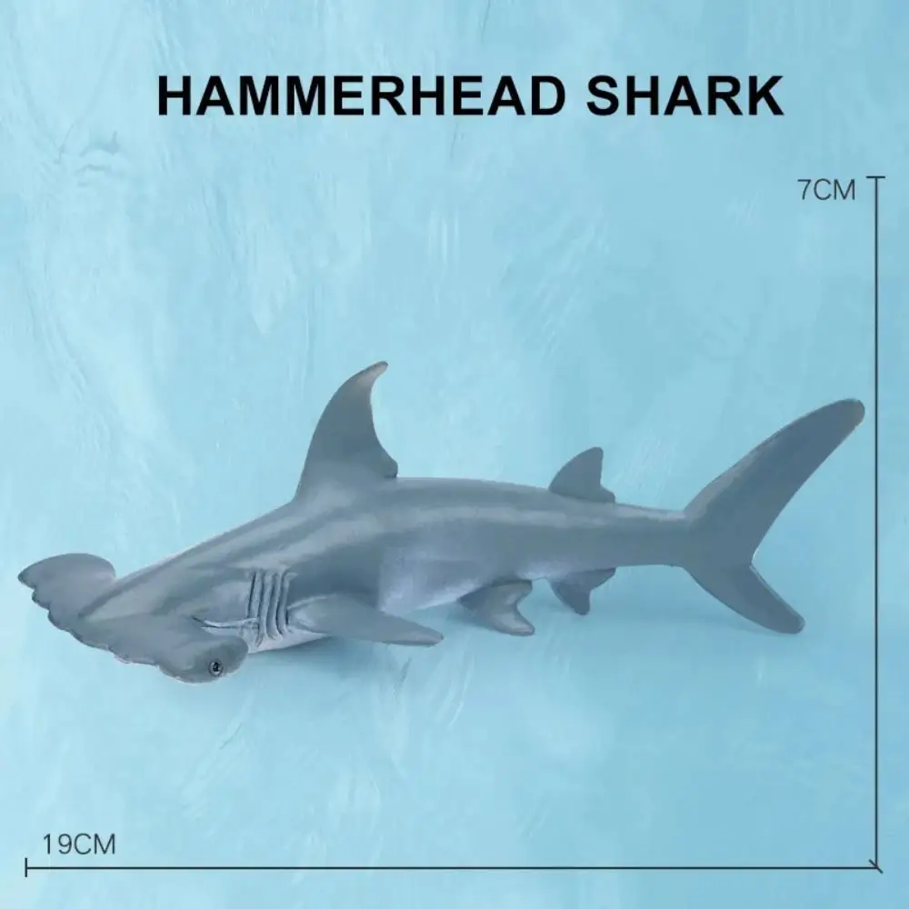 Marine Animals Simulation Sea Life Shark Cachalot Animal Model Whale Figurines Dolphin Hammerhead Educational Toys