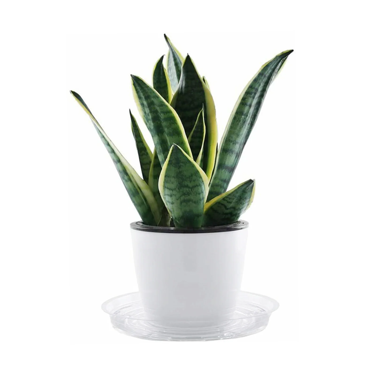 10 قطعة حديقة النبات الصحن بالتنقيط صينية الراتنج البلاستيك PET اناء للزهور حديقة النبات اناء للزهور ديكور حديقة المنزل واضح وعاء للوجبات الخفيفة #4