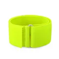 Fluorescent Green