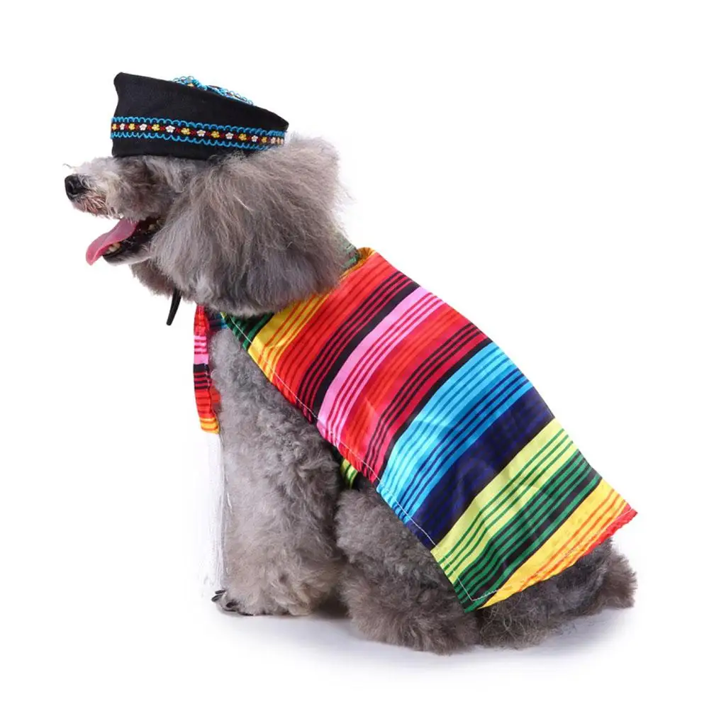 Costume, S/L, Dog Puppy Mexican Poncho With Black Hat Halloween