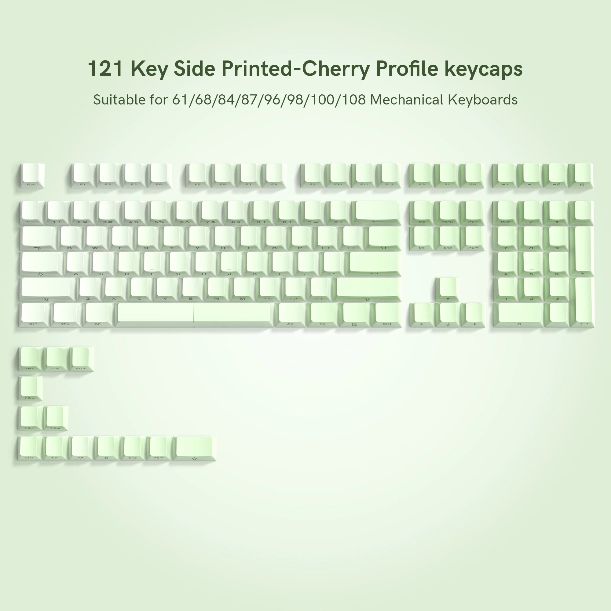 Fruit Green Side Printed Shine Through Keycap Double Shot PBT Keycaps Cherry Profile for Cherry Gateron MX Switch Gamer Keyboard