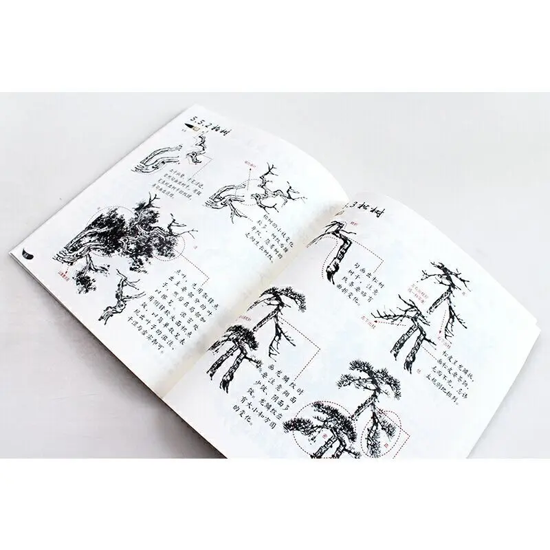 Beginners Learn Chinese Painting Big Character And Large Version Livres Kitaplar