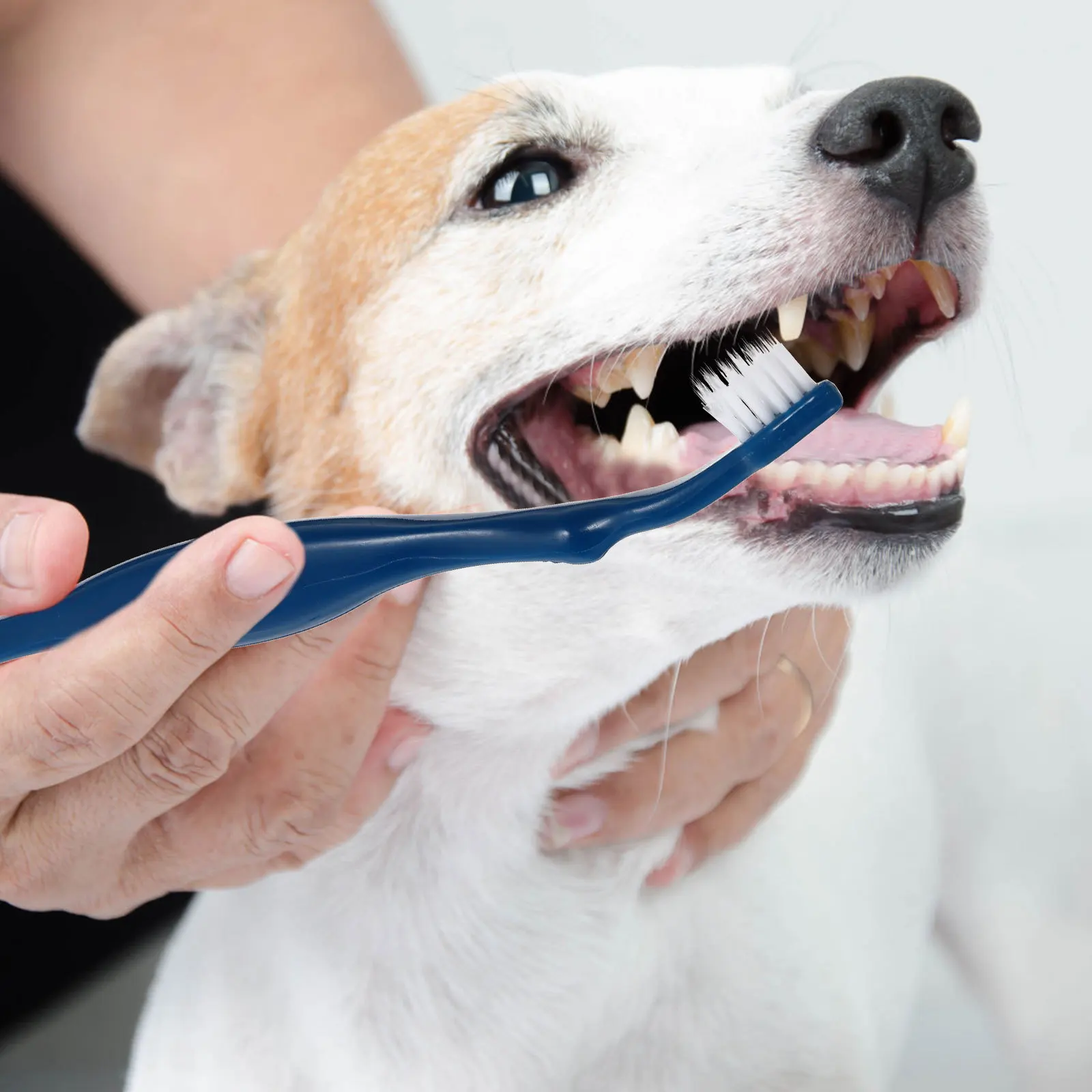 

3Pcs Pet Toothbrush Double-Headed Design Easy Use Dog Teeth Cleaning Brush Pet Teeth Care Tool for Dogs Dog Toothbrush