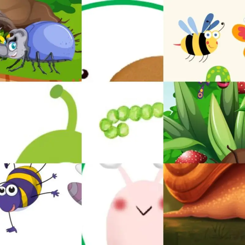 

Баскетбольное кольцо 43.31x29.53 дюйма с небьющейся ПЭТ-доской для крепления на стену и всепогодной сеткой для домашних тренировок и клубного использования