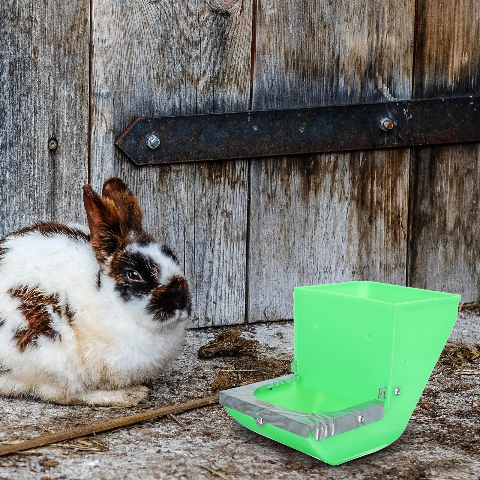 

4Pcs Rabbit Feeding Bowl Plastic Small Pet Food Container Feeding Dish Refillable Feeder Pet Accessories Food Bowl
