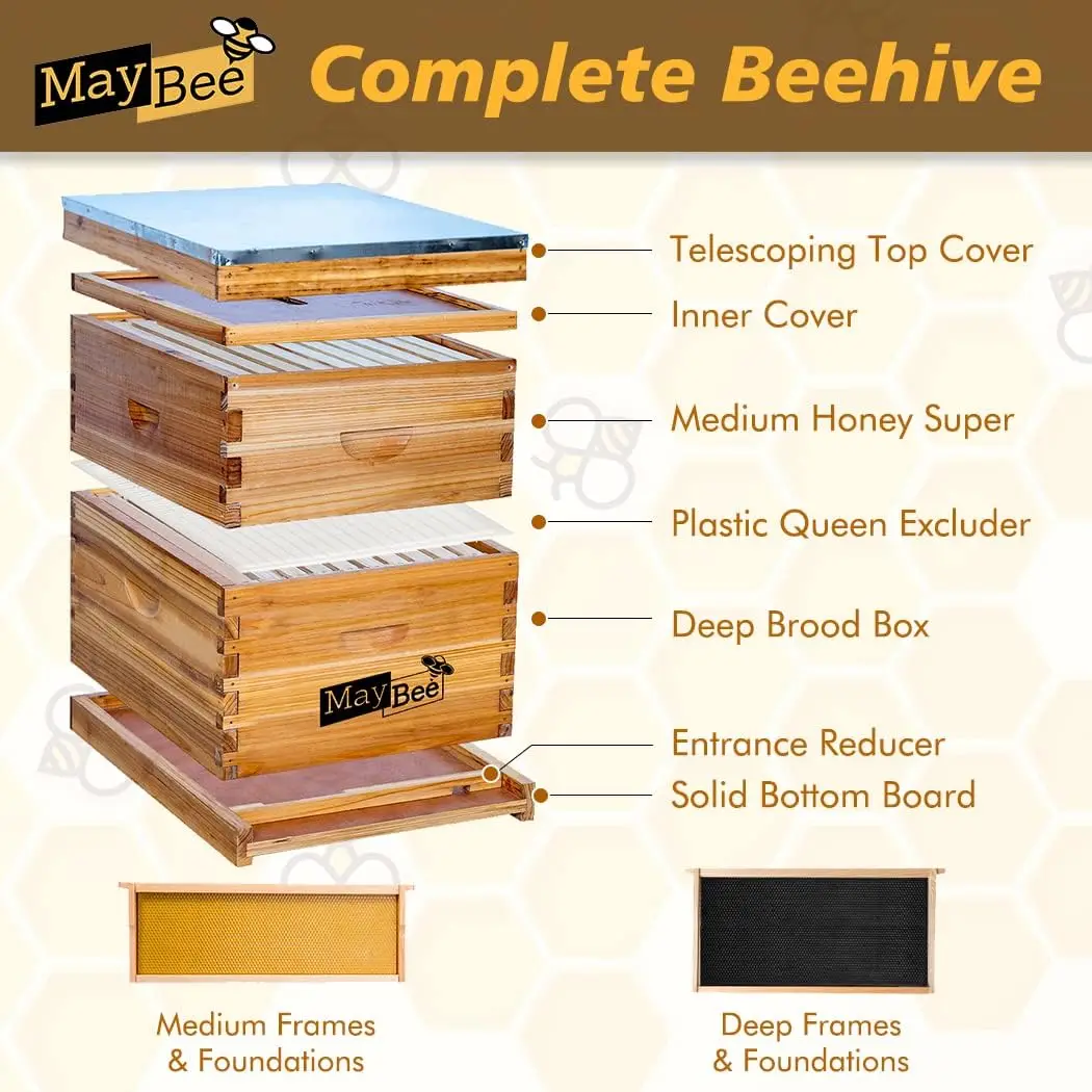 10 Frame Bee Hives Supplies Starter Kit Honey Bee Hive Beginner Deep Brood Box Super Box Beehive Frames Foundations
