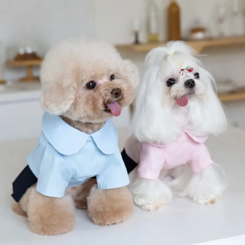 Pet Shirt Pleated Skirt School Uniform Shirt Cute Cat and Dog Clothing Teddy Clothes Puppy Clothes Dogs Dresses Pet Couple Set