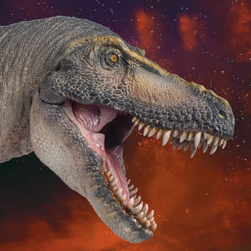 

Tyrannosaurus rex Kawako battles Jurassic World Growth Companion Model 51 Handmade Toy Desktop Ornament Collectibles Gift
