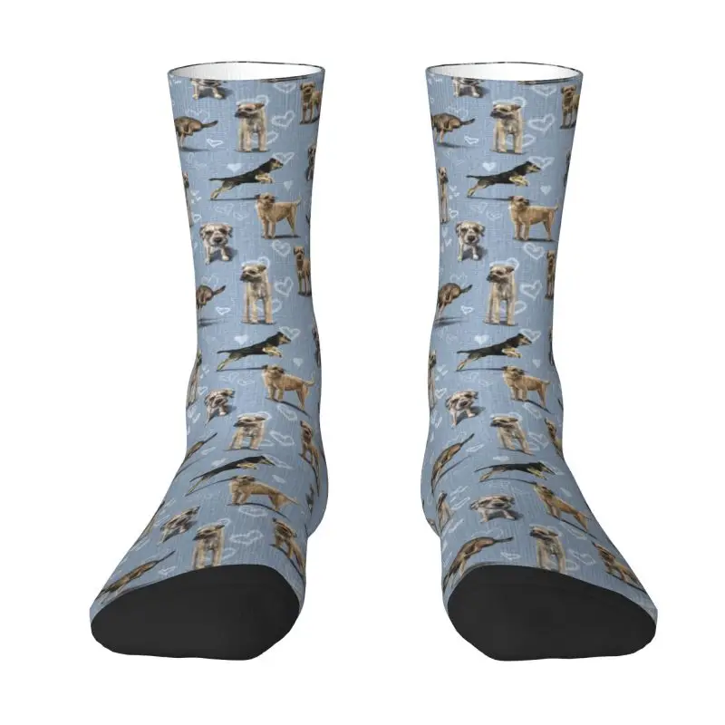 Cool Printing Cute Border Terrier Dog Socks for Men Women Stretchy Summer Autumn Winter Pet Puppy Crew Socks