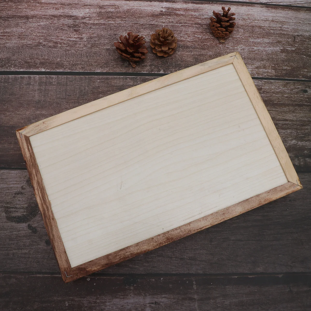 

Wooden Insect Specimen Box Fix Base Prevent Knock Over Deposit Remove Plants Display Case Education Tool Display Box