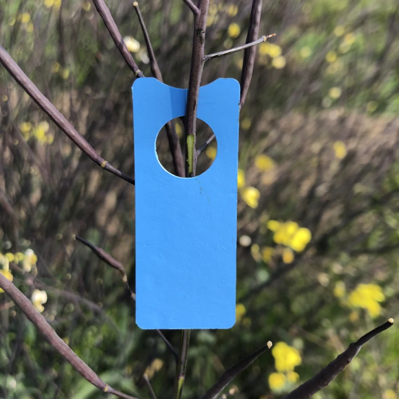 100Pcs Plant Hanging Label Tag Waterproof Plastic Seed Name Card Marker Sign Board Multifunction Garden Insert Accessories