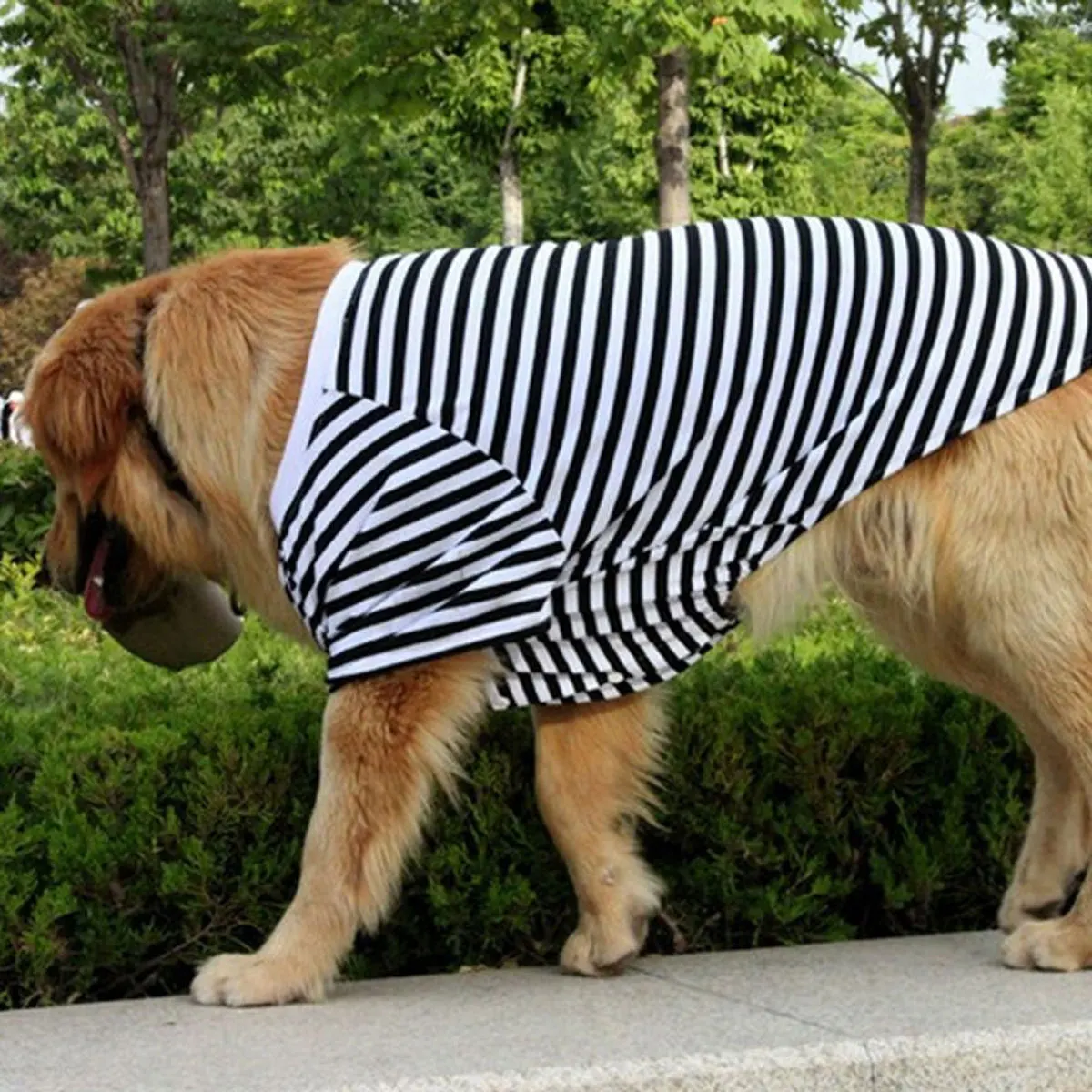 

Large Clothes Striped Cotton Vest For Medium To Large Dogs Black White Size S-Xxl Husky Golden Retriever Dog Vest Dog T