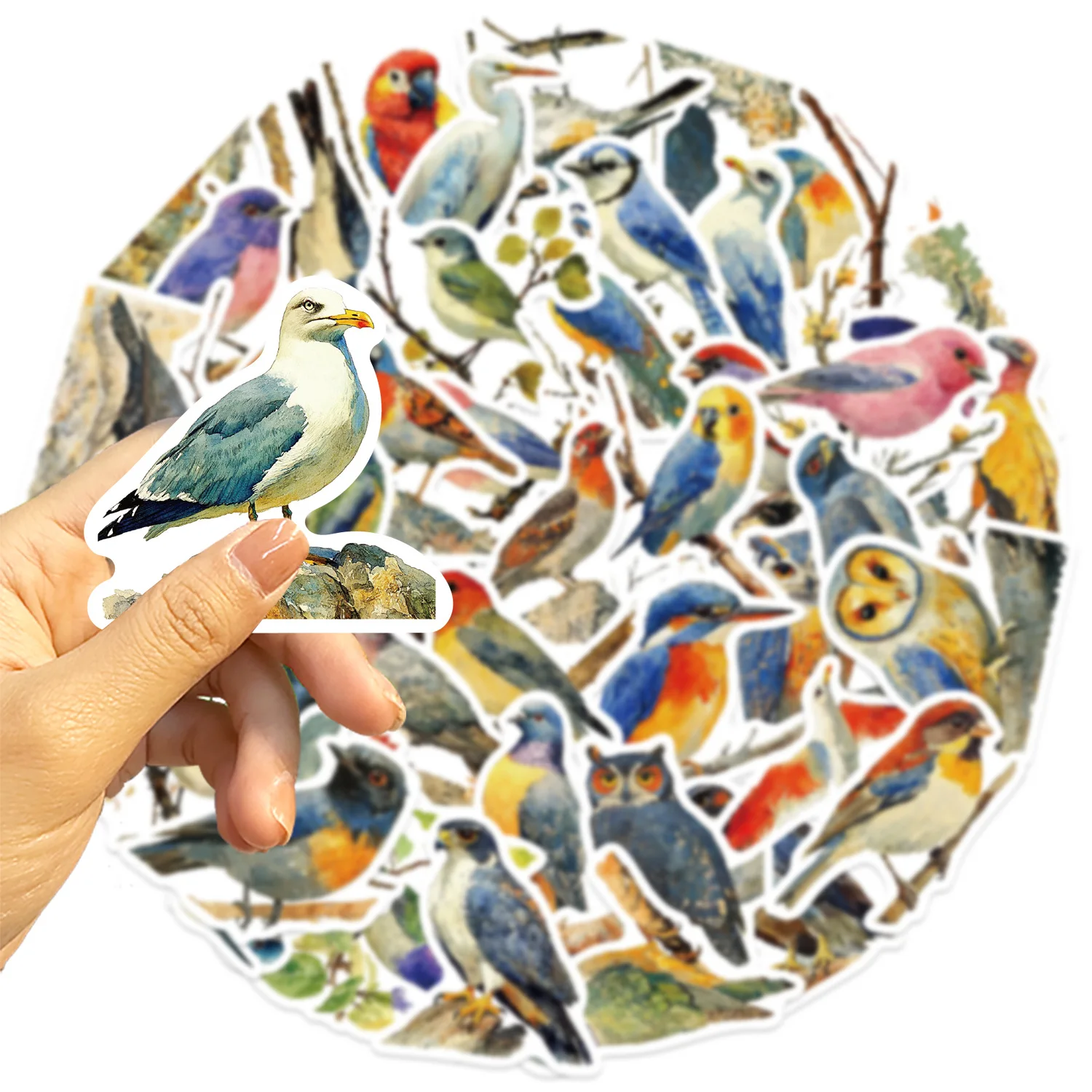 30/50PCS Cartoon Watercolor Bird Graffiti Stickers Decorative Decals for Phone Laptop Guitar Notebook Luggage Waterproof Sticker