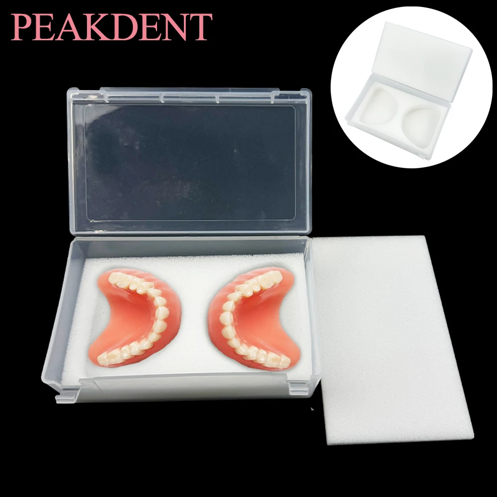 

Sponge Box For Dentures Dental Implant Storage Plastic Tooth Box With Foam Sponge Denture Storage Boxes Placement Box 1pcs