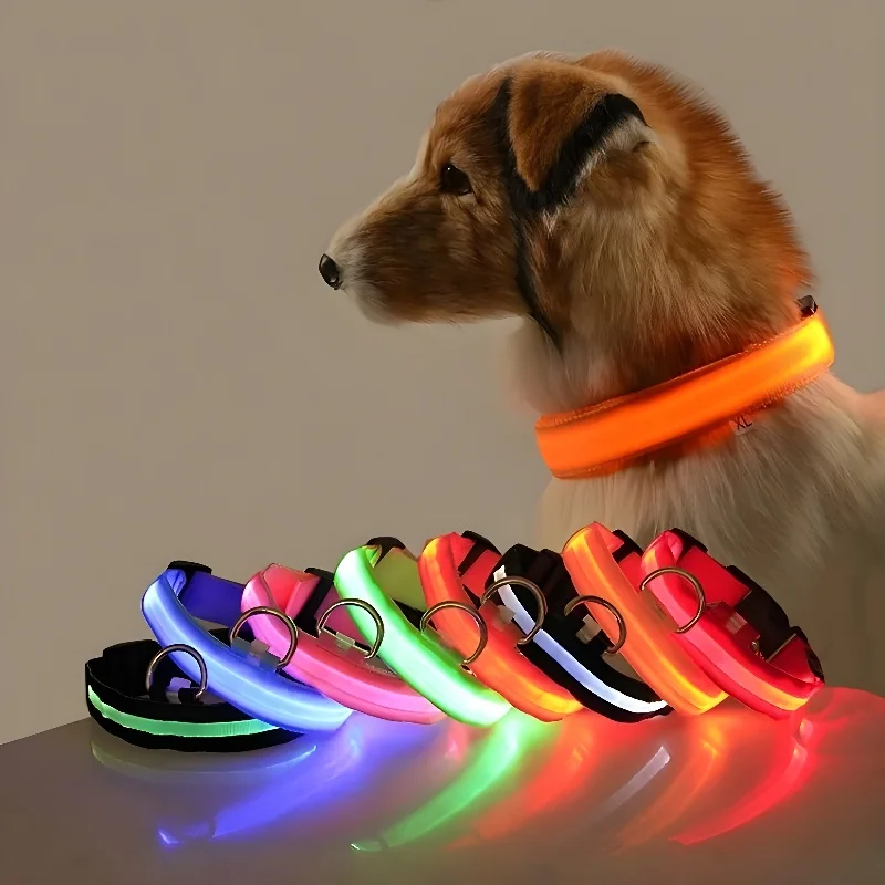 Collar de nailon con luz LED para perro, correa de seguridad nocturna intermitente que brilla en la oscuridad, accesorios fluorescentes luminosos para mascotas