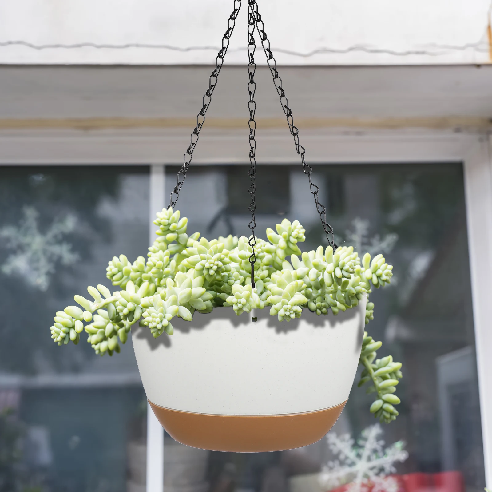 

2 set Hanging Pots Wall Plant Holder Indoor Outdoor Sturdy Lightweight Water Tray Included Plant Hanger For Decor