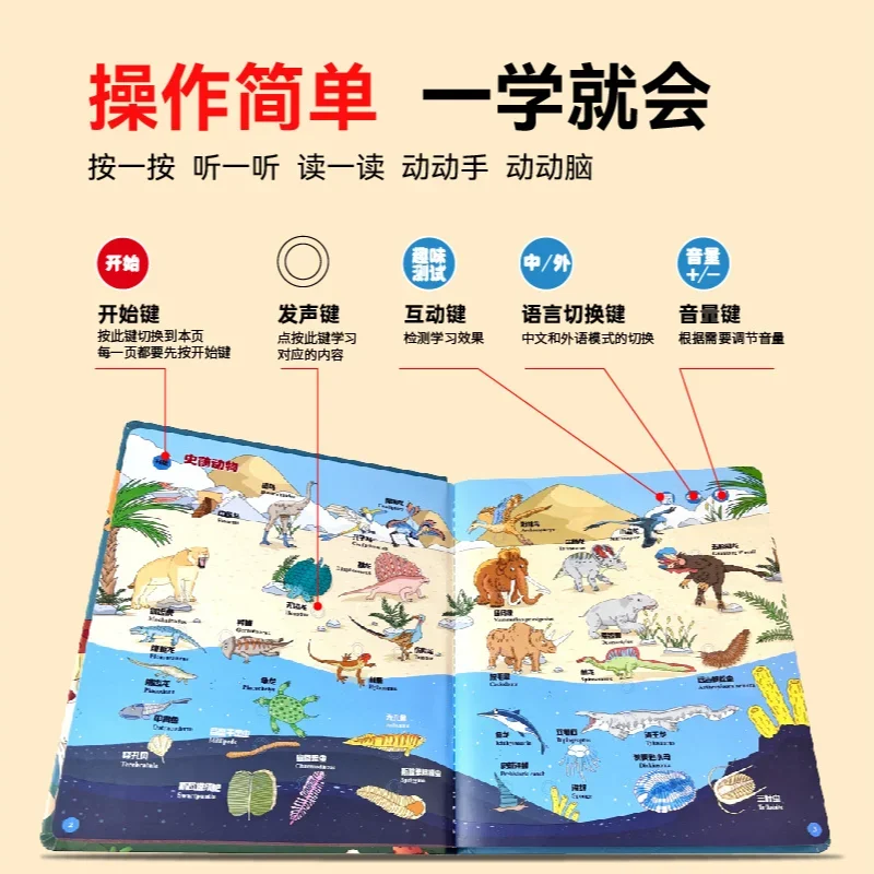 Knowledge Audio Storybook, Preschool Learning, Chinese & English Bilingual, Popular Science Early Enlightenment