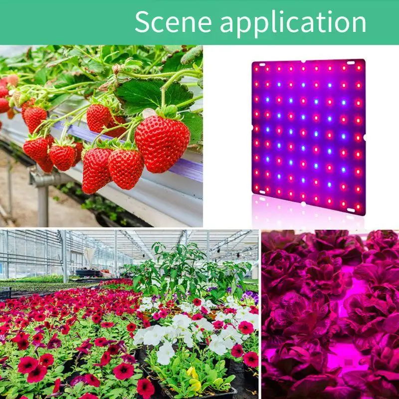 Luce per la crescita delle piante a LED Spettro completo 169 Perline Design sottile con gancio Luce rossa blu per piantine Verdure Erbe
