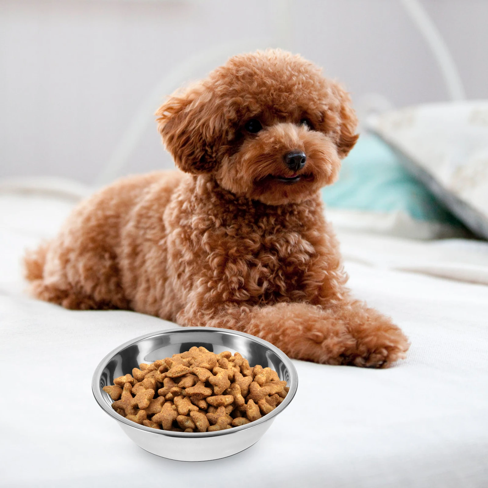 

5pcs Pet Stainless Steel Food Puppy Feeder Household Portable Sturdy Pet Food Container Reusable Dog Water Feeder Kitten Feeding