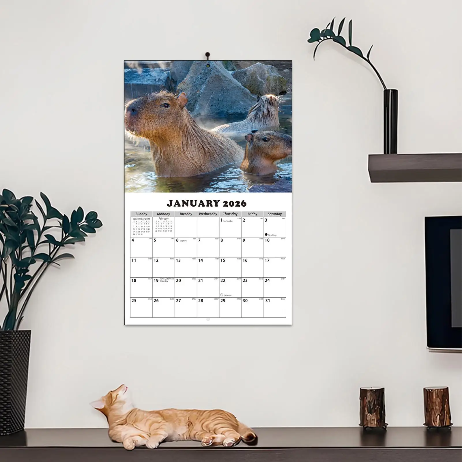 Ежемесячный календарь на 2026-2027, настенный планировщик с анти-чернилами на тему капибары, 13-месячный настенный календарь, 2026 января с датами Джулиана