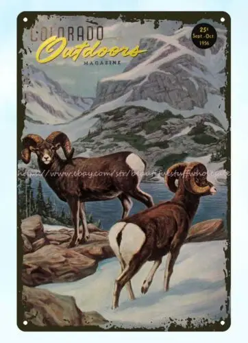 1956 Colorado Outdoors Magazine Big Horn Sheep metal tin sign shop wall decor