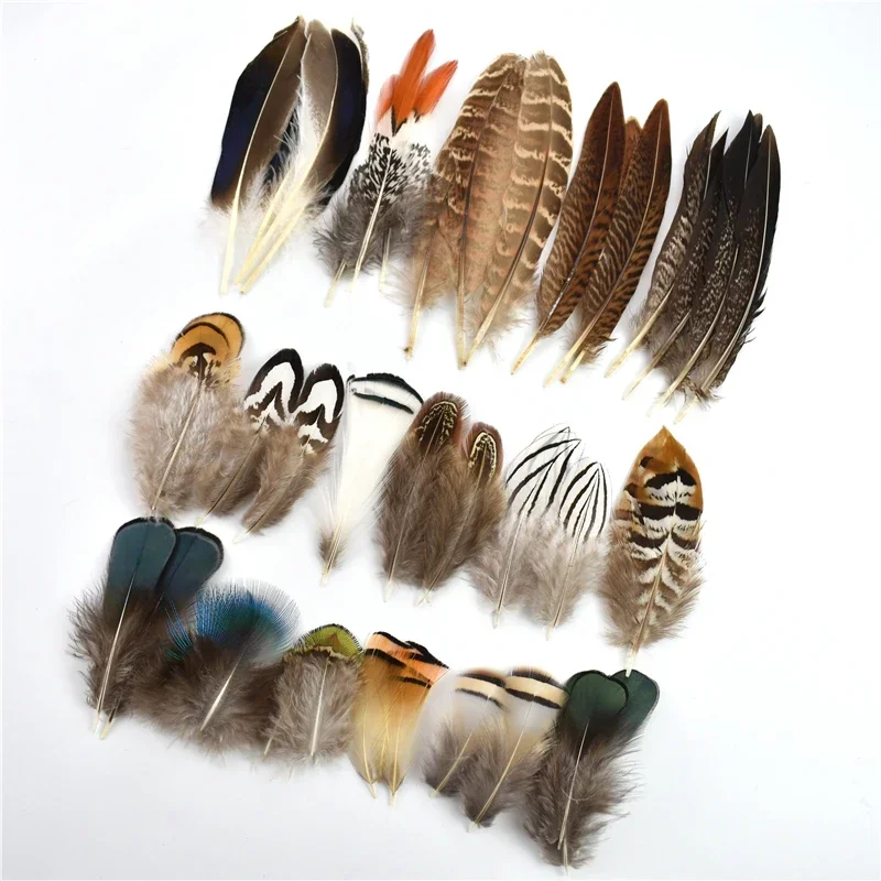 Wholesale Natural Chicken Peacock Goose Pheasant Feather Small Feathers for Crafts Handicraft Accessories DIY Jewelry Decoration