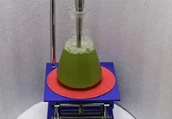 Ultrasonic Homogenizer for Effective Cell Disruption and Homogenization Ultrasonic Sample Preparation