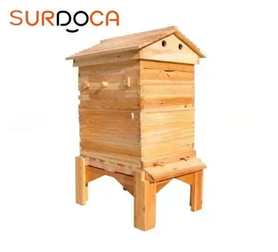 

Boiled Wax Fir Beehives Wood Automatic Self-Flowing Honey Bee Hive & 7 Auto Frames Apiculture Beekeeping Equipment Tool Beehive