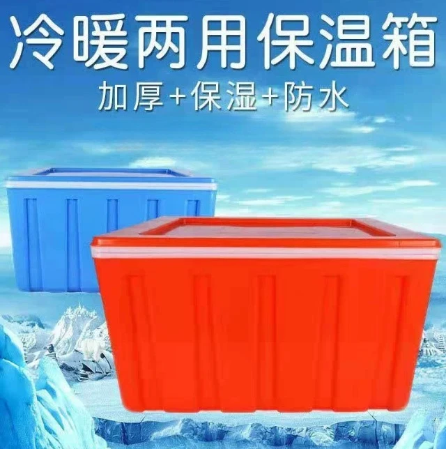 

Sushi Picnic Cooler, Insulated Hard Plastic Food Warmer & Cooler Box for Camping Hiking, Portable Insulated Food Container