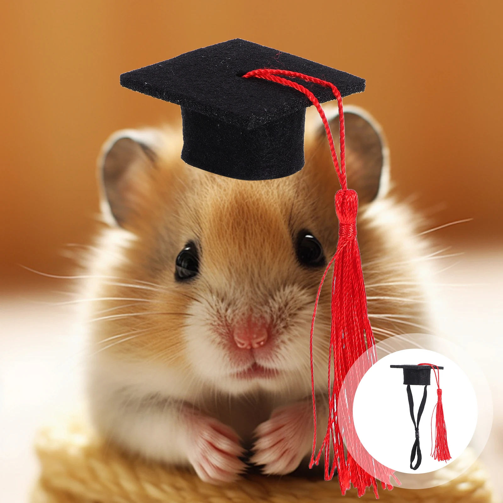 

Hamster Hat Cute Has Cat Graduation Hats Animal Pig Decorative Bachelor Dress Cap