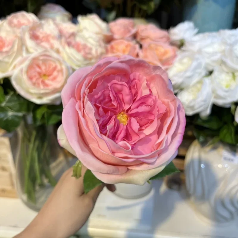 5Pcs Moisturizing Austin Rose Flowers Real Touch Roses Bridal Bouquet Wedding Party Flower Arrangement Home Decoration Ornaments
