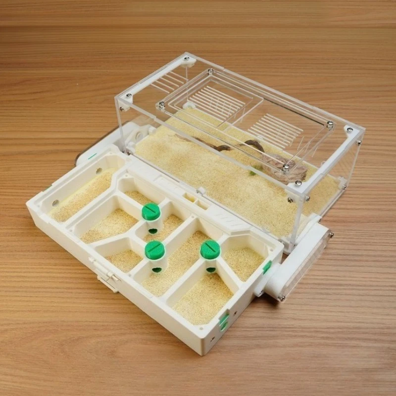 Ants Nest Folding Moisturizing Acrylic Activity Area Ants Queen Anthill Ecological Multifunctional Ant Farm Ant Habitat House
