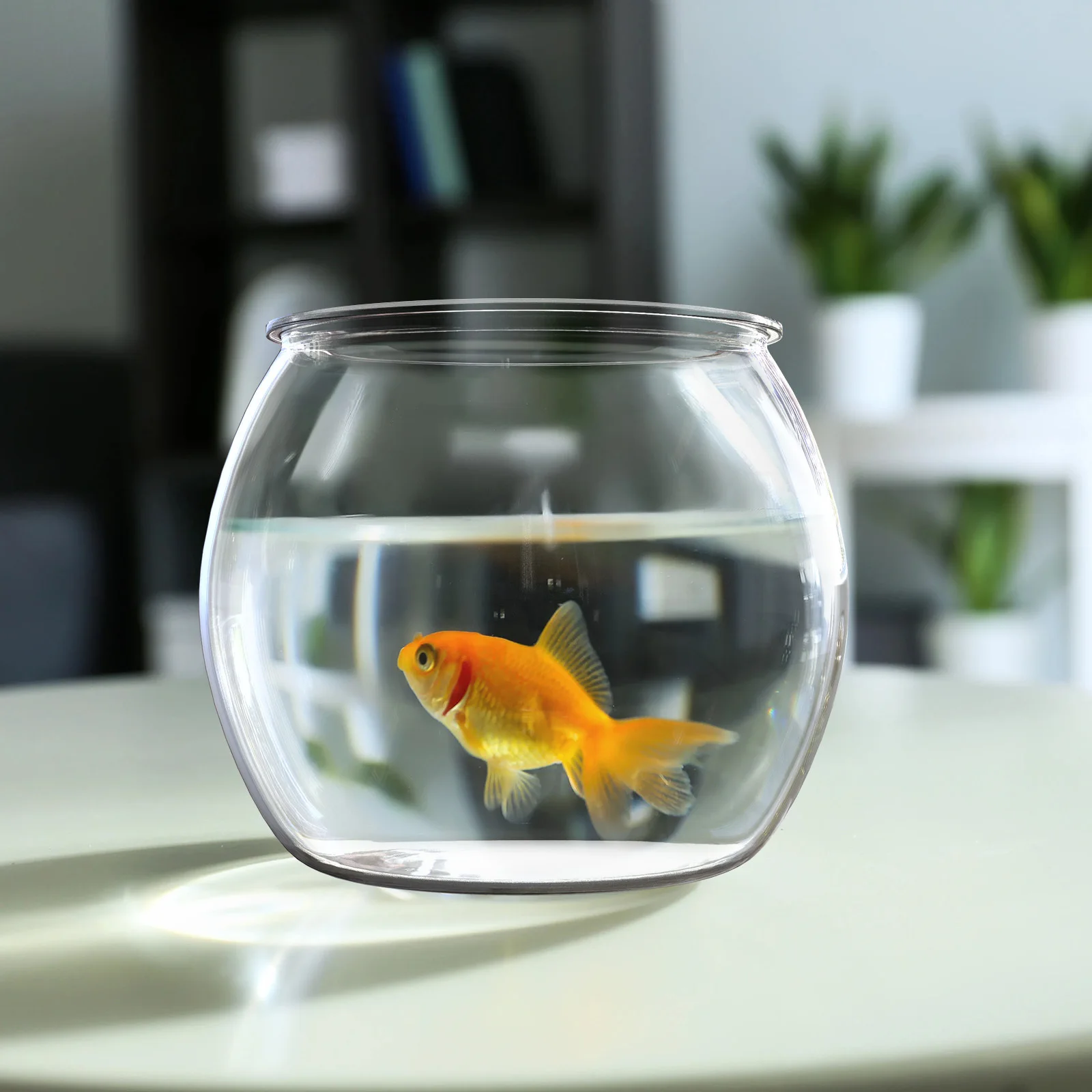 

Small Fish Tank PET Transparent Round Aquarium DIY Micro Landscape Glass Container for Home Office Desktop Decoration