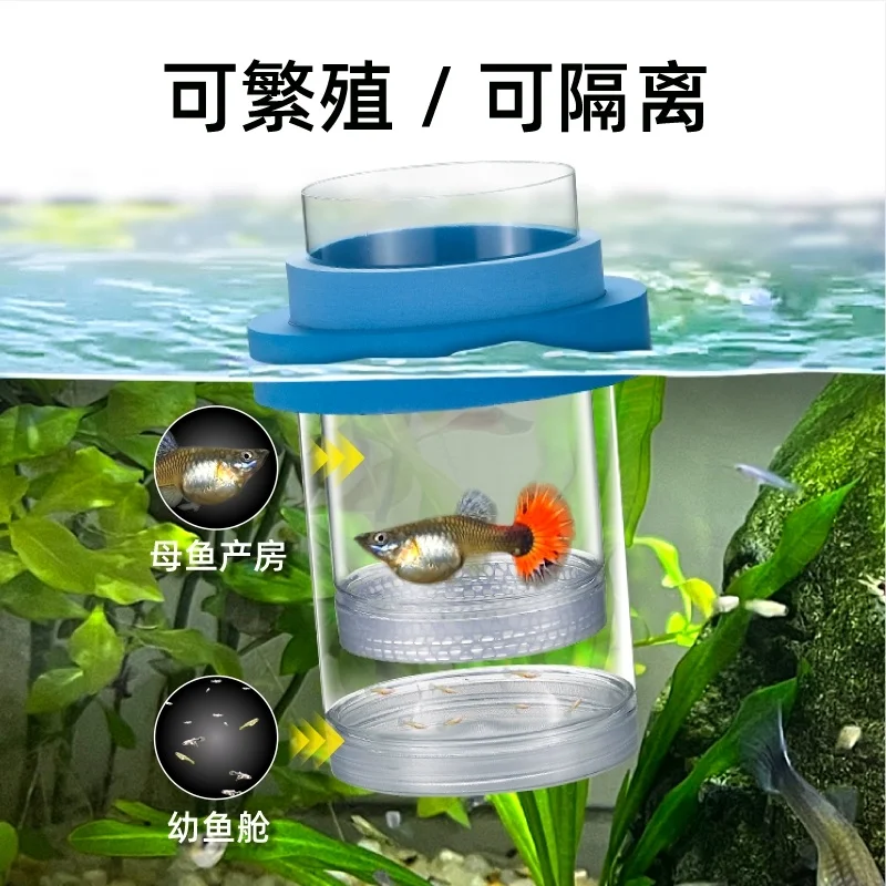 Mother Fish Breeding Box Peacock Fish Tank Egg Seedling Isolation Delivery Room Floating Hatching Tropical Fish Protect Baby Toy