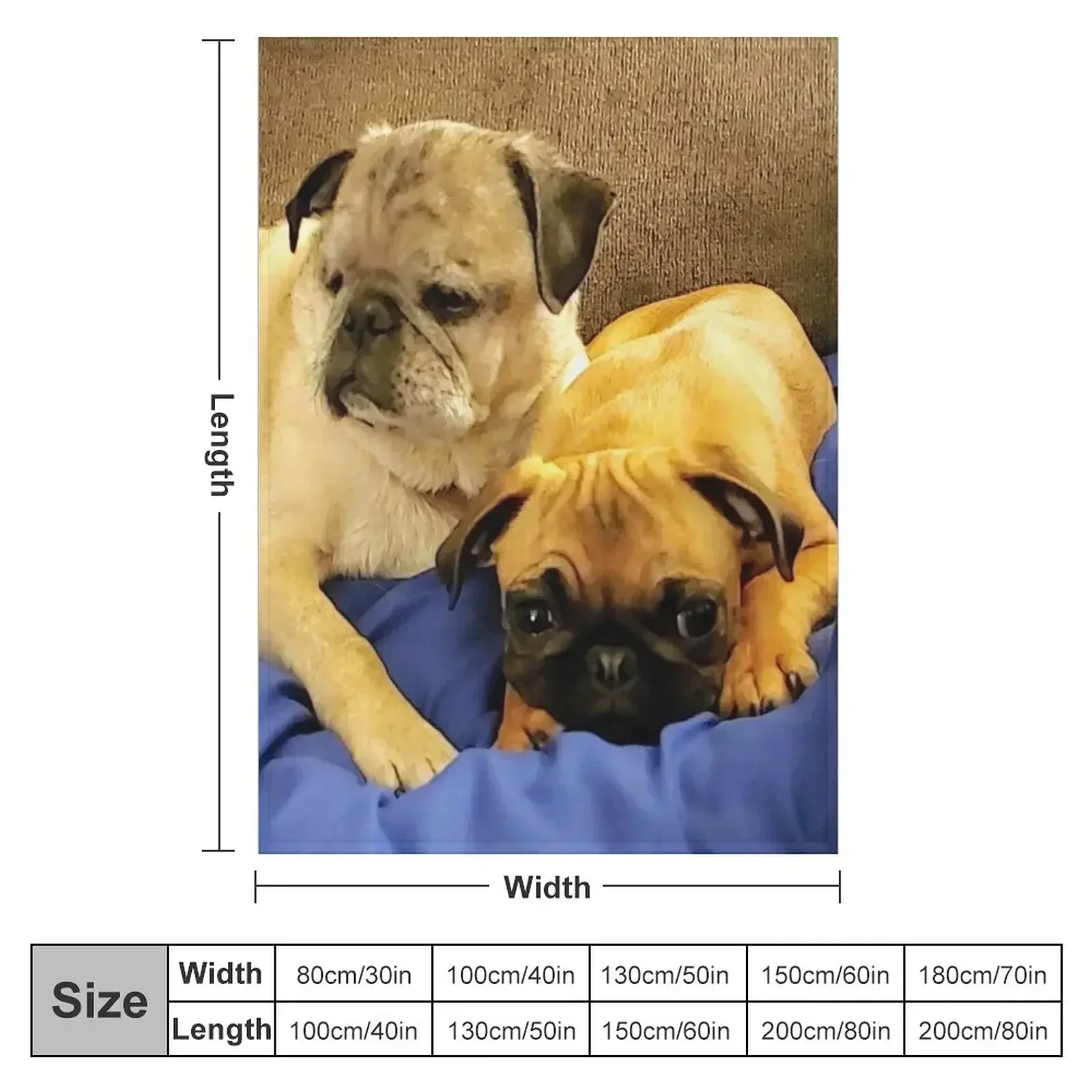Pair of Pugs Throw Blanket Luxury Brand Retros Summer Soft Blankets